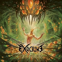 Exocrine (Fra) - Seat In Limbo (2017) [mp3@320] [Progressive/Death Metal]