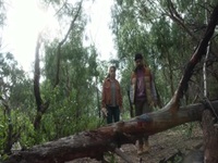 La Brea S01E02 480p x264-mSD EZTV La Brea S01E02 480p x264-mSD EZTV
