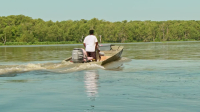 Swamp People S15E11 1080p HEVC x265-MeGusta EZTV