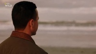 When Sharks Attack S08E04 XviD-AFG EZTV When Sharks Attack S08E04 XviD-AFG EZTV