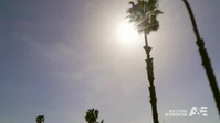 Intervention S23E03 Jesse XviD-AFG EZTV Intervention S23E03 Jesse XviD-AFG EZTV