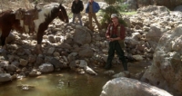 Old Boyfriends (1979) [720p] [BluRay] [YTS] [YIFY]