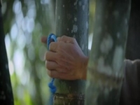 Home 2020 S01E03 iNTERNAL 480p x264-mSD [eztv]