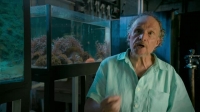 The Age of Nature S01E03 XviD-AFG EZTV The Age of Nature S01E03 XviD-AFG EZTV