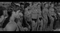 Arnold S01E01 XviD-AFG EZTV Arnold S01E01 XviD-AFG EZTV