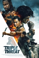 Triple Threat 2019 HDRip XviD AC3-EVO