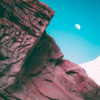 Bonobo - Linked (2019 - Single) [MP3 320]