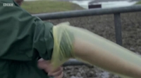 This Farming Life S04E05 XviD-AFG EZTV This Farming Life S04E05 XviD-AFG EZTV
