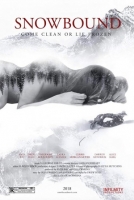 Snowbound 2017 DVDRip x264-SPOOKS
