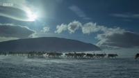Stormborn S01E01 WEB h264-WEBTUBE EZTV Stormborn S01E01 WEB h264-WEBTUBE EZTV