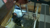 Bering Sea Gold S16E05 XviD-AFG EZTV Bering Sea Gold S16E05 XviD-AFG EZTV
