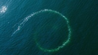 Sea Hunters S01E01 720p WEB h264-HONOR EZTV