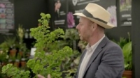 Gardeners World S52E13 HDTV x264-DOCERE [eztv]