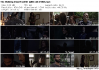 The Walking Dead S10E03 WEB x264-RBB mp4