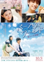 Perfect World 2018 720p BluRay x264 800MB-Tv21