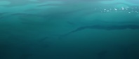 Primal S02E01 1080p HEVC x265-MeGusta EZTV Primal S02E01 1080p HEVC x265-MeGusta EZTV