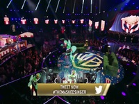 The Masked Singer S09E08 480p x264-mSD EZTV