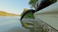 Swamp People S15E15 XviD-AFG EZTV Swamp People S15E15 XviD-AFG EZTV