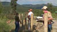 Yellowstone Wardens S04E03 XviD-AFG EZTV Yellowstone Wardens S04E03 XviD-AFG EZTV