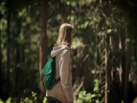 Wild Crime S02E03 480p x264-mSD EZTV