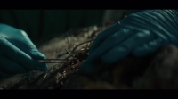 Swamp Thing 2019 S01E01 WEB x264-PHOENiX EZTV Swamp Thing 2019 S01E01 WEB x264-PHOENiX EZTV