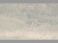 HuntCo S02E02 INTERNAL 480p x264-mSD [eztv]
