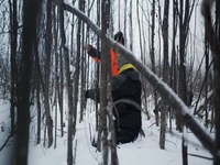 Life Below Zero First Alaskans S02E12 480p x264-mSD EZTV
