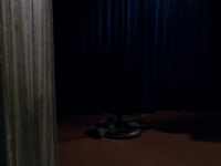 Family Matters S08E17 480p x264-mSD [eztv]