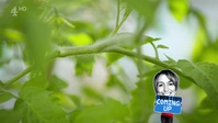 Food Unwrapped S24E04 XviD-AFG EZTV