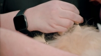 Pooch Perfect US S01E03 1080p HEVC x265-MeGusta EZTV