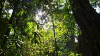 A Perfect Planet S01E03 Weather WEB h264-WEBTUBE EZTV