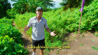 Survivor S46E03 1080p HEVC x265-MeGusta EZTV