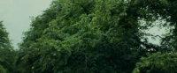 Wild Rose (2018) [BluRay] [720p] [YTS] [YIFY]