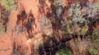 Outback Opal Hunters S03E02 720p WEB x264-LiGATE [eztv]