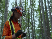 Timber Titans S01E06 480p x264-mSD EZTV