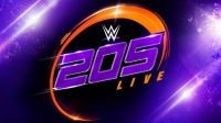 WWE 205 Live 2019 12 13 WEB h264-HEEL [TJET]