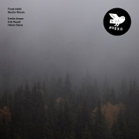 [alternative folk] (2019) Frode Haltli - Border Woods [FLAC] [DarkAngie]