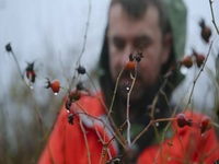 Chefs vs Wild S01E07 480p x264-mSD EZTV