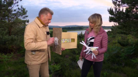 Springwatch S19E07 XviD-AFG EZTV
