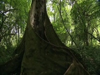 Equators Wild Secrets S01E02 480p x264-mSD EZTV Equators Wild Secrets S01E02 480p x264-mSD EZTV