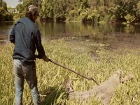 Monster Croc Wrangler Compilations S04E03 480p x264-mSD EZTV