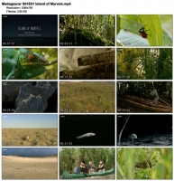 Madagascar S01 complete (BBC, 2011) (1280x720p HD, 50fps, soft Eng subs)