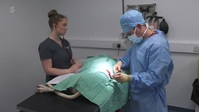 The Yorkshire Vet S15E04 XviD-AFG EZTV