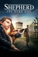 Shepherd The Hero Dog 2020 REPACK 720p WEBRip 800MB x264-GalaxyRG