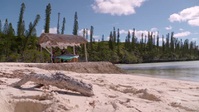 Extreme Weddings Australia S01E08 XviD-AFG EZTV Extreme Weddings Australia S01E08 XviD-AFG EZTV