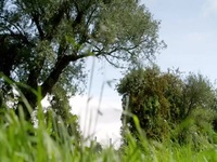 Great British History Hunters S01E01 480p x264-mSD EZTV Great British History Hunters S01E01 480p x264-mSD EZTV