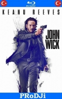 John Wick 2014 BluRay 1080p DTS x264-PRoDJi