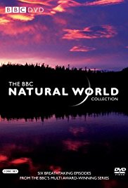 Natural.World.S39E01.720p.WEB.x264-worldmkv Natural.World.S39E01.720p.WEB.x264-worldmkv