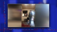 Stephen Colbert 2021 01 26 Colin Firth XviD-AFG EZTV Stephen Colbert 2021 01 26 Colin Firth XviD-AFG EZTV