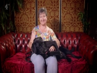 Embarrassing Pets S01E13 480p x264-mSD [eztv]